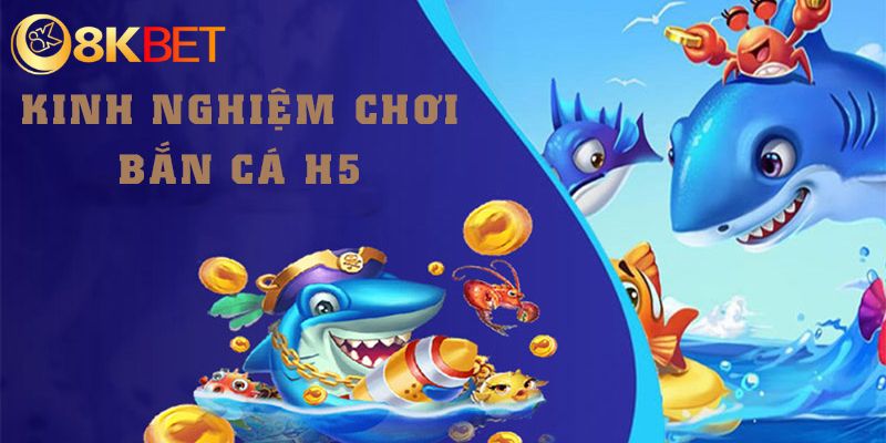 Bí kíp săn ngư H5 bất bại từ tay chơi lâu năm 